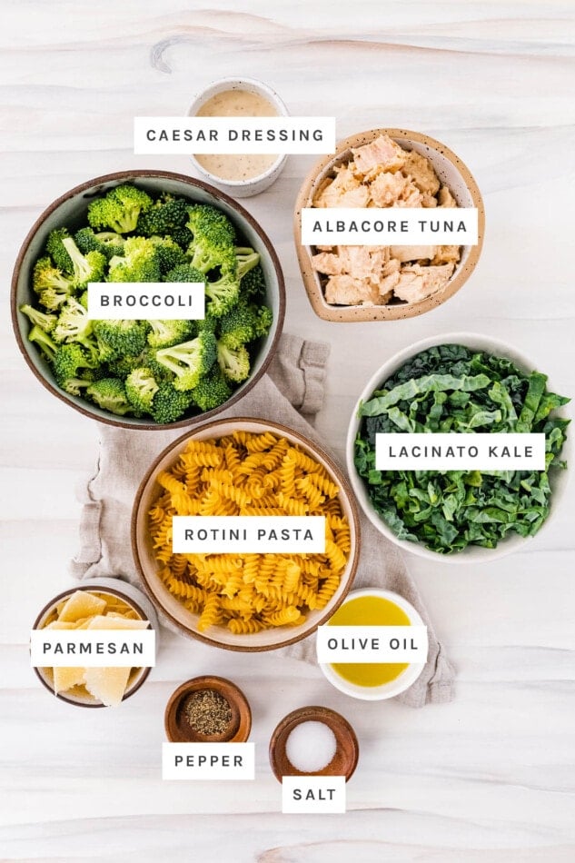 Ingredients measured out to make Tuna, Broccoli and Kale Caesar Pasta Salad: caesar dressing, albacore tuna, broccoli, lacinato kale, rotini pasta, parmesan, olive oil, salt and pepper.