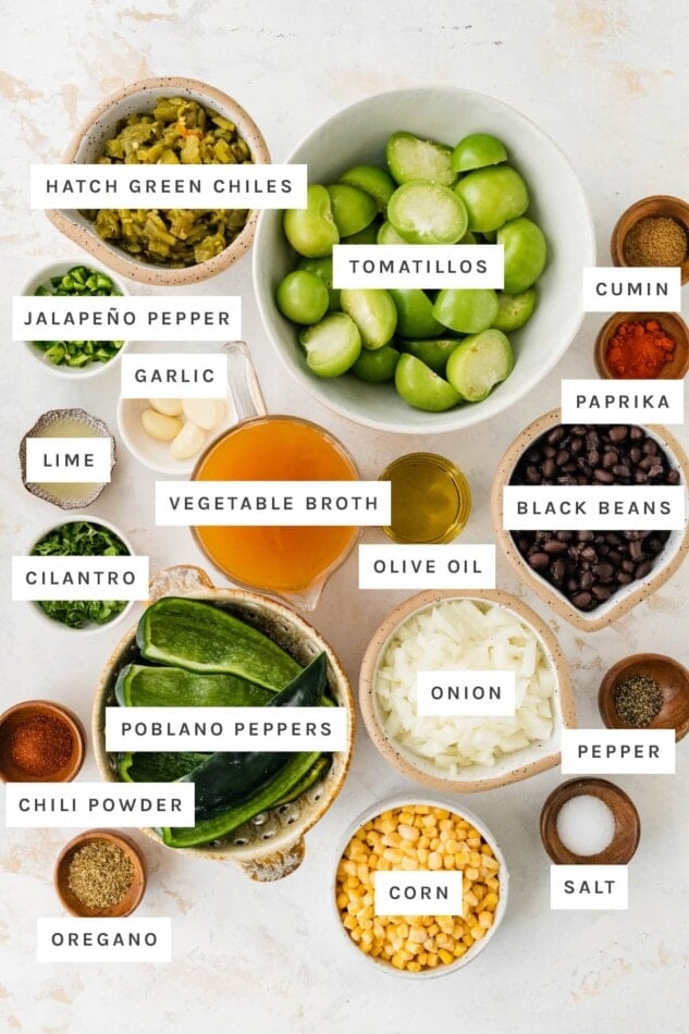 Ingredients measured out to make Vegetarian Green Chili (Chili Verde): Hatch green chiles, tomatillos, cumin, jalapeño pepper, garlic, paprika, lime, vegetable broth, olive oil, black beans, cilantro, poblano peppers, onion, pepper, chili powder, corn, oregano and salt.