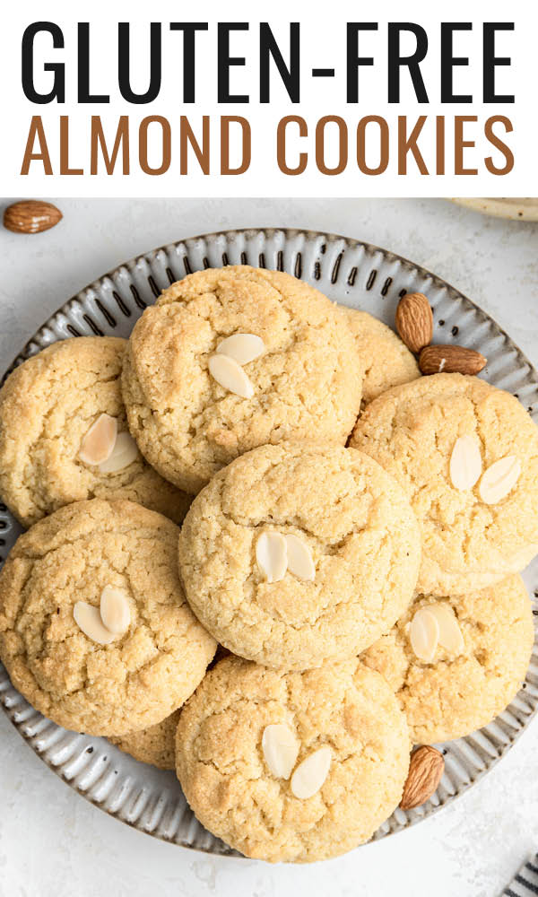 Almond Cookies Eating Bird Food
