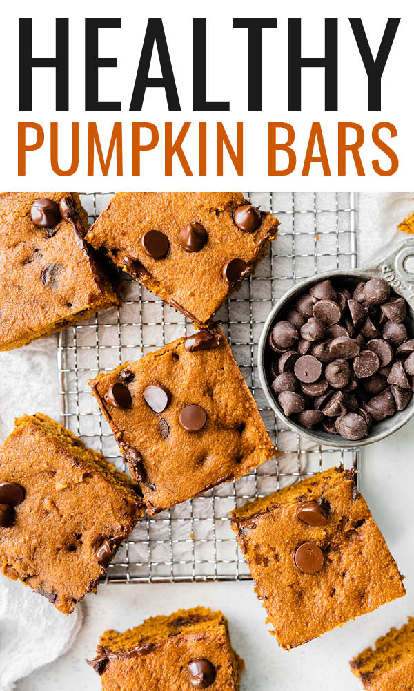 Healthy Pumpkin Bars Eating Bird Food