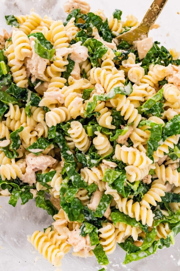 Close up of tuna, pasta, kale and caesar dressing tossed together in a bowl.