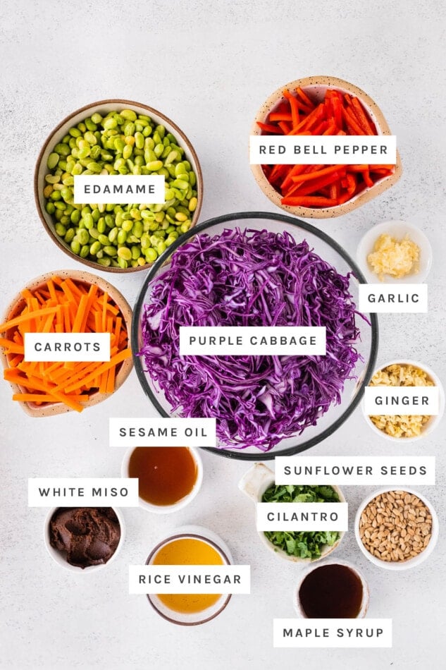 Ingredients measured out to make Asian Edamame Salad: edamame, red bell pepper, carrots, purple cabbage, garlic, sesame oil, ginger, sunflower seeds, white miso, cilantro, rice vinegar and maple syrup.