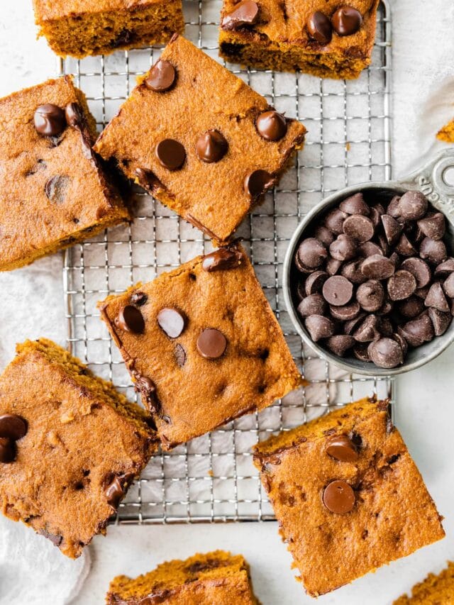 Healthy Pumpkin Bars Eating Bird Food