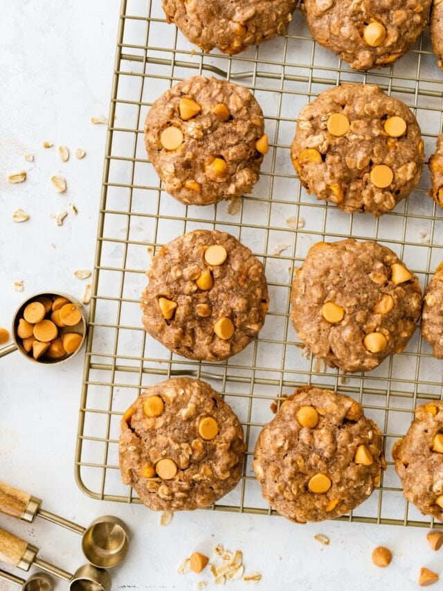 Flourless Oatmeal Scotchies Eating Bird Food