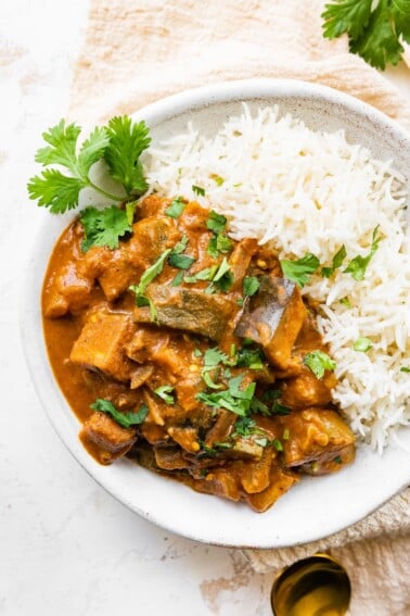 A shallow bowl of eggplant curry with rice.