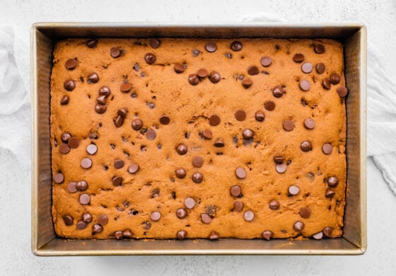 Pumpkin bars in a 13x9 baking pan.