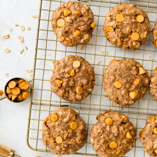 Oatmeal Scotchies (Flourless) Eating Bird Food