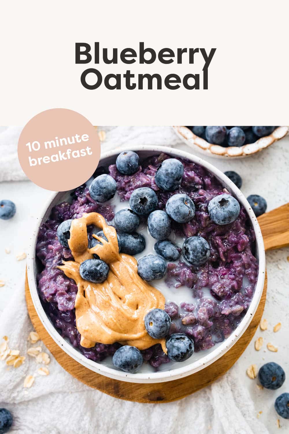 Blueberry Oatmeal - Eating Bird Food