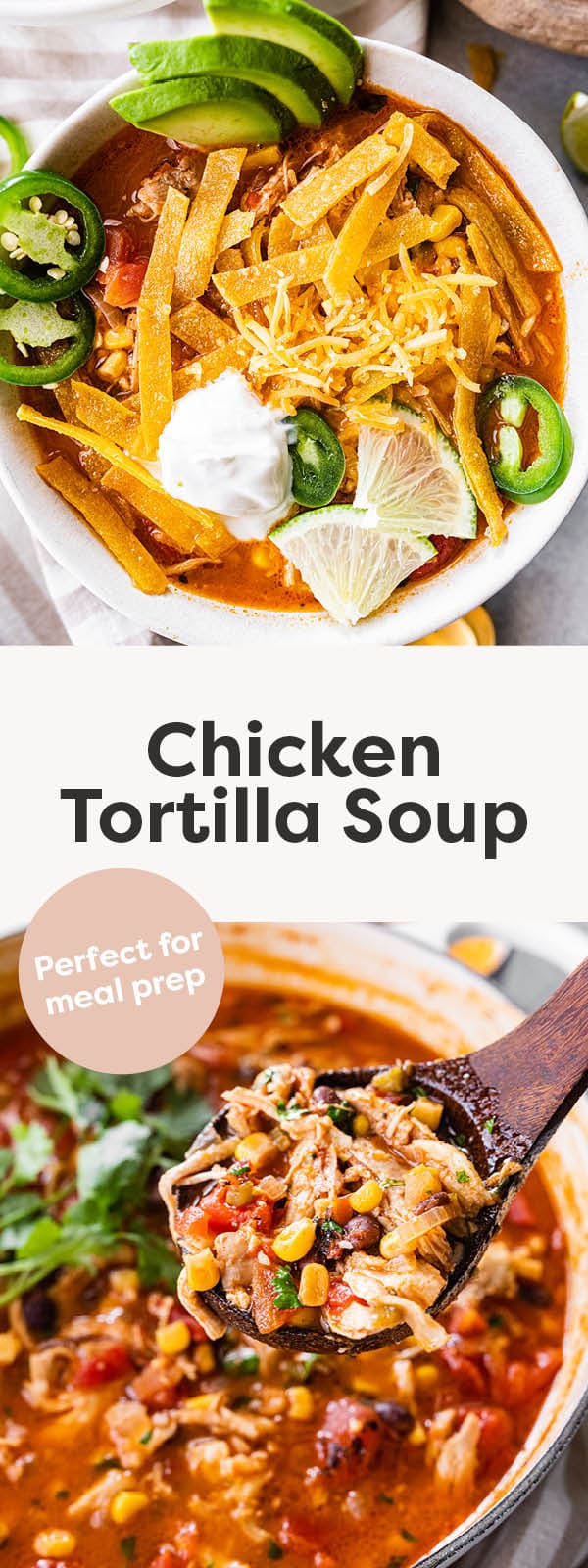 Chicken Tortilla Soup Eating Bird Food