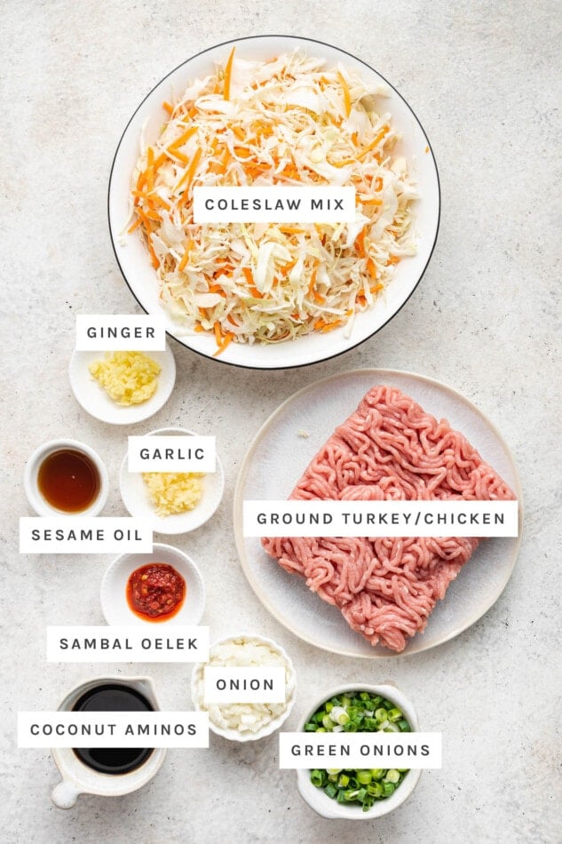 Ingredients measured out to make an Egg Roll in a Bowl: coleslaw mix, ginger, garlic, sesame oil, sambal oelek, ground turkey, onion, coconut aminos and green onions.