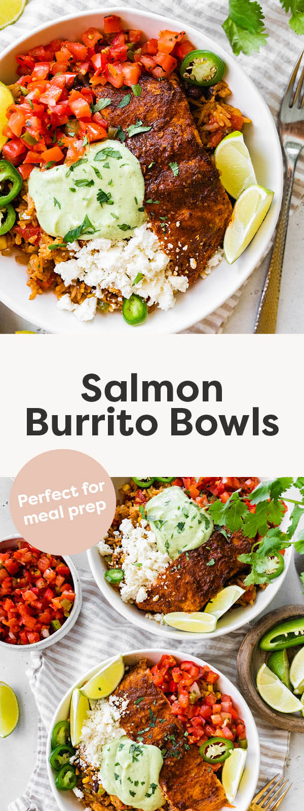 Salmon Burrito Bowl Eating Bird Food
