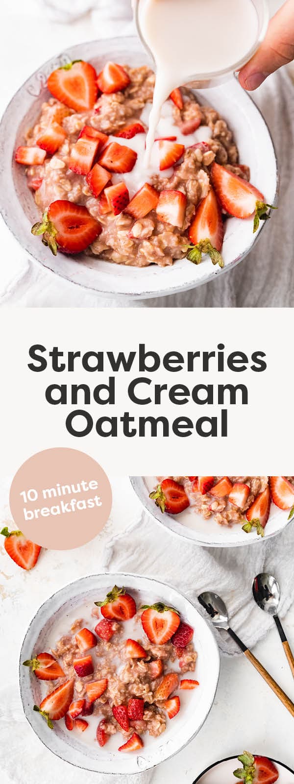 Strawberries and Cream Oatmeal Consuming Chook Meals The Daily Inserts