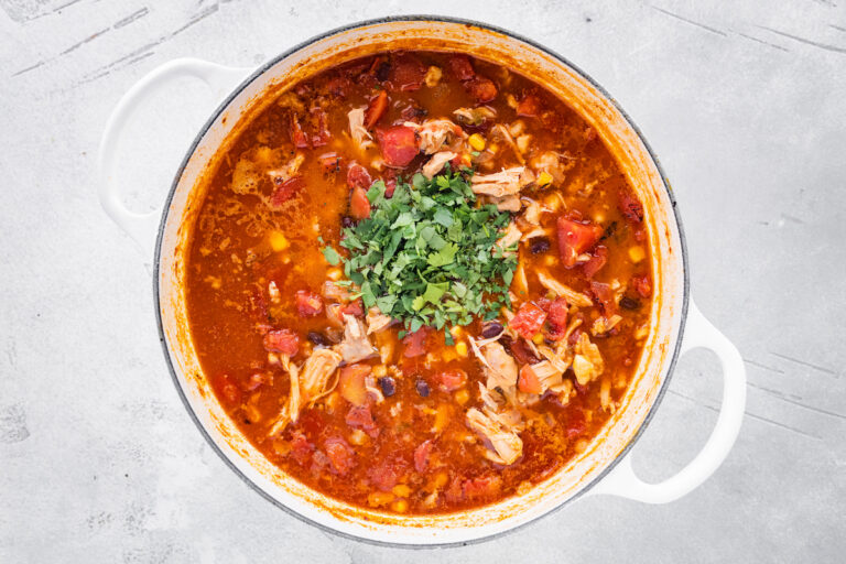 Chicken Tortilla Soup Eating Bird Food