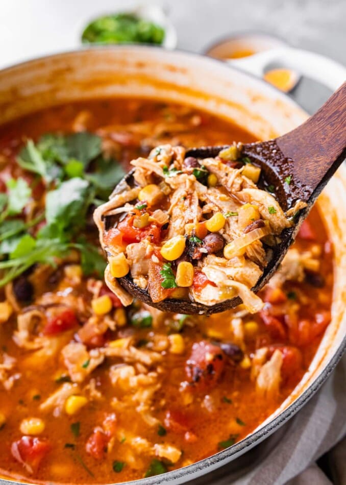 A spoonful of chicken tortilla soup.