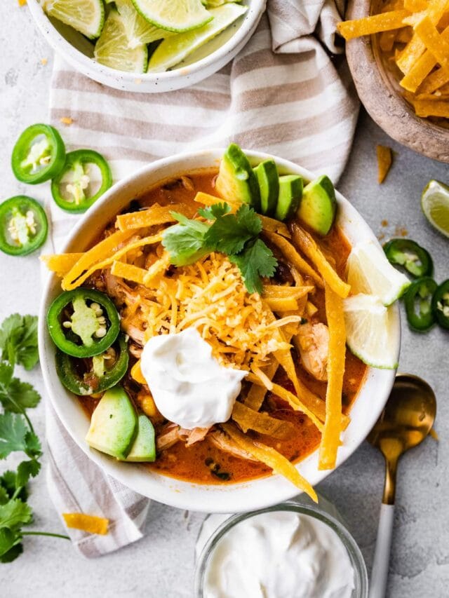 Chicken Tortilla Soup Eating Bird Food