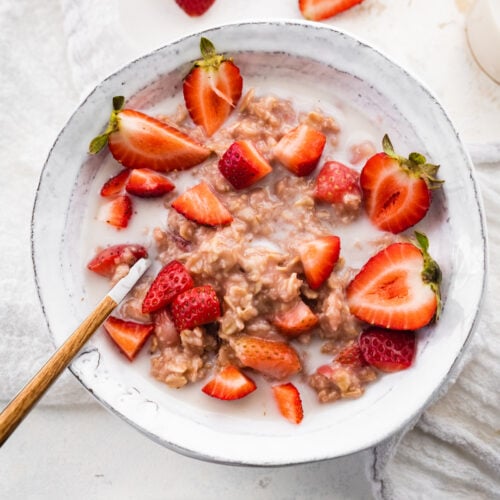 Strawberries and Cream Oatmeal Eating Bird Food