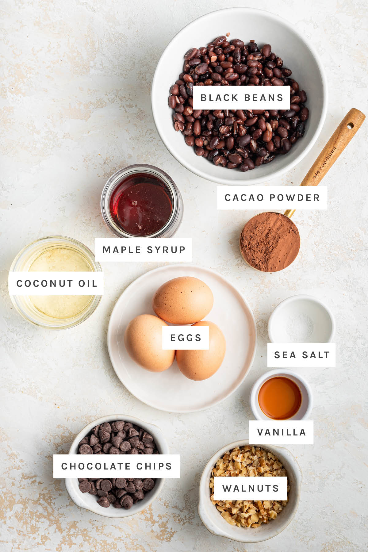 Ingredients measured to make fudgy black bean brownies: black beans, maple syrup, cacao powder, coconut oil, eggs, sea salt, vanilla, chocolate chips, walnuts.