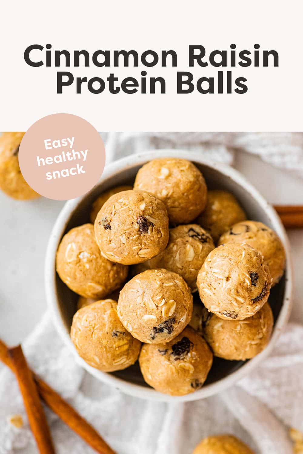 Cinnamon Raisin Protein Balls Eating Bird Food