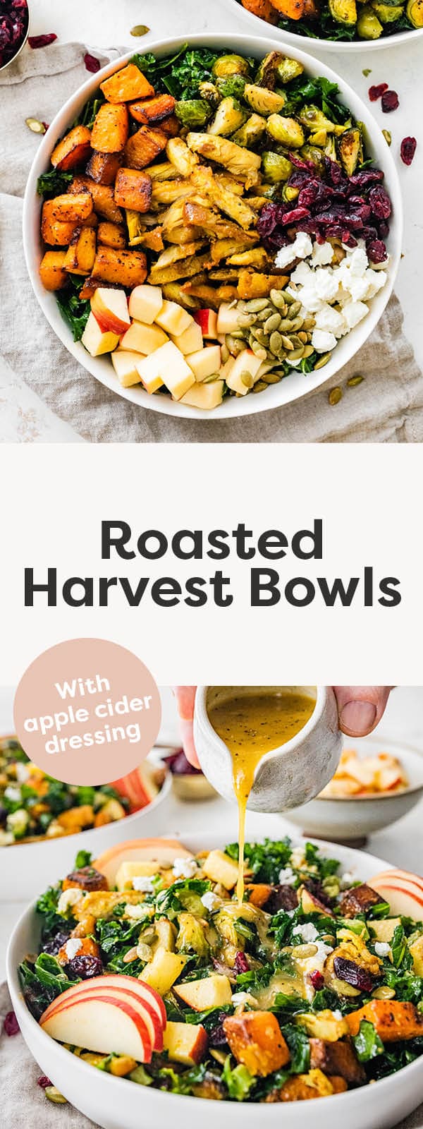 Roasted Harvest Bowls Consuming Chook Meals The Daily Inserts