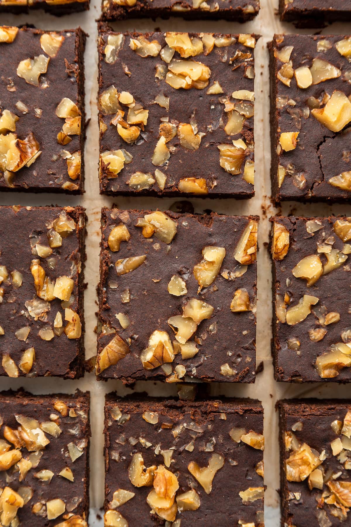 Close up of brownie squares.