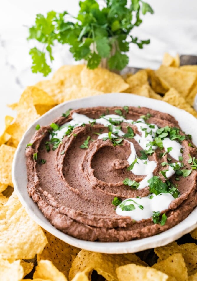 A bowl of black bean dip surrounded by tortilla chips.