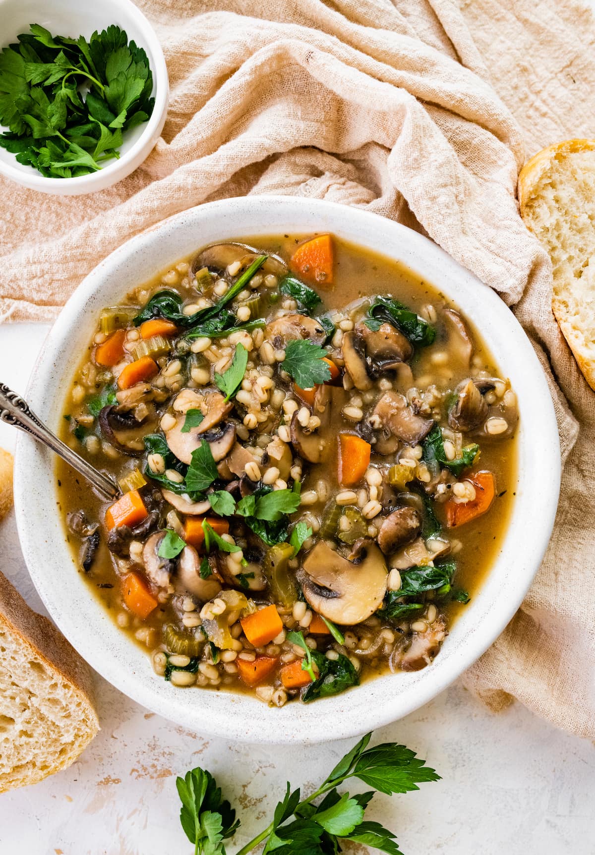 A bowl of mushroom barley soup.