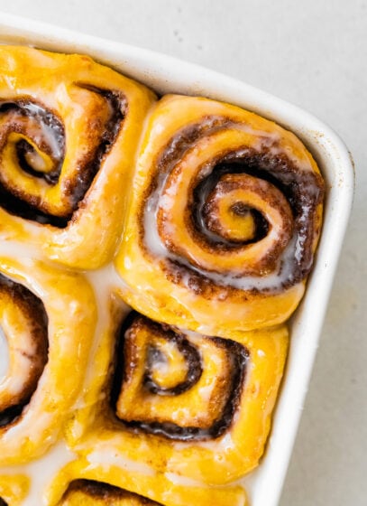 Vegan Pumpkin Cinnamon Rolls Eating Bird