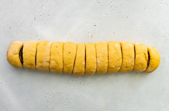 Dough rolled up and cut into 12 circles.