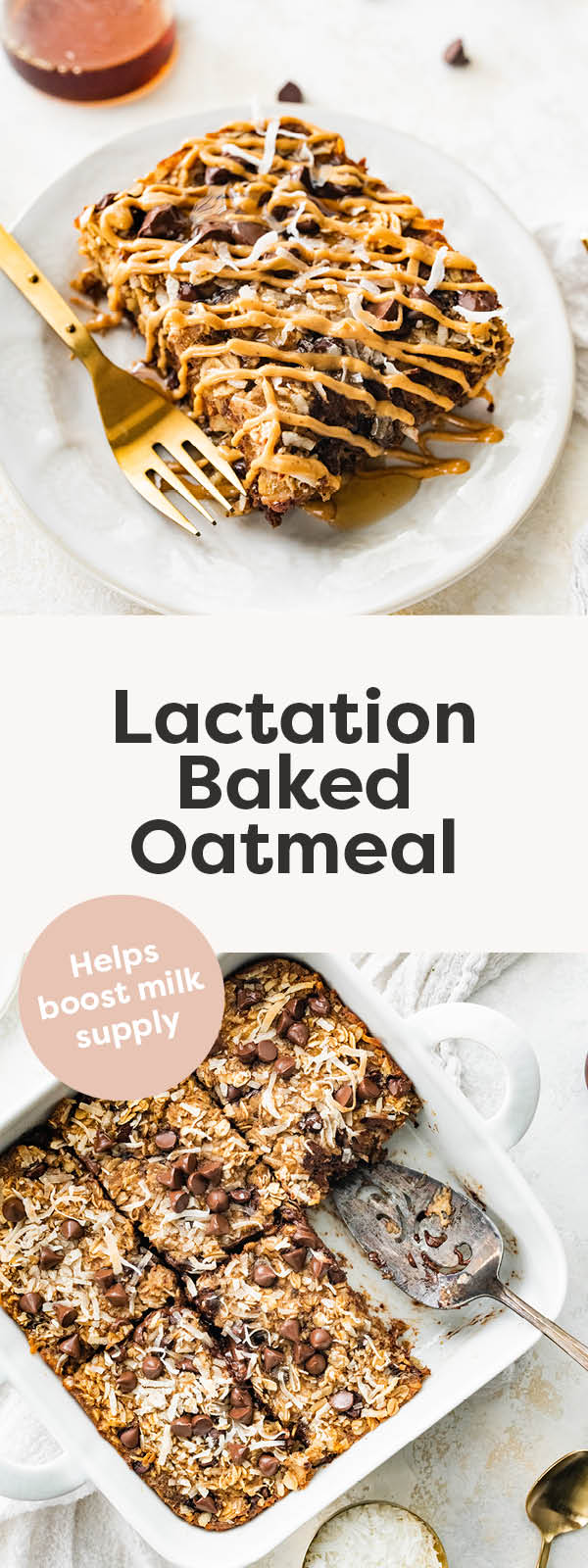 Lactation Baked Oatmeal Eating Bird Food