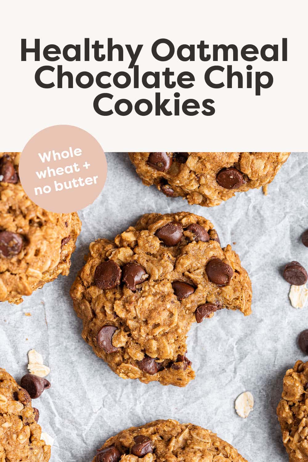 Healthy oatmeal chocolate chip cookies eating bird food