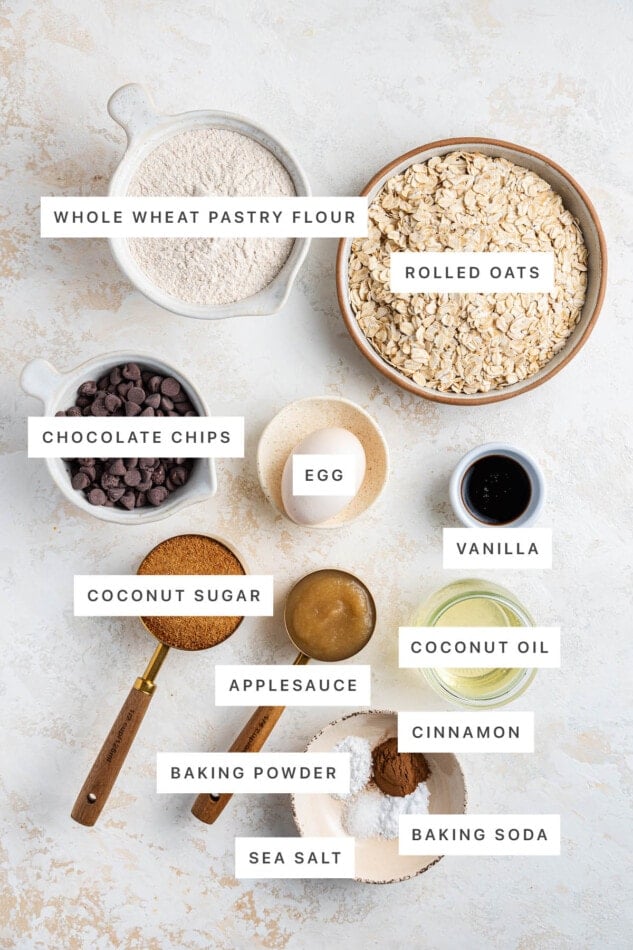 Ingredients measured out to make Healthy Oatmeal Chocolate Chip Cookies: whole wheat pastry flour, rolled oats, chocolate chips, egg, vanilla, coconut sugar, applesauce, coconut oil, cinnamon, baking powder, sea salt and baking soda.