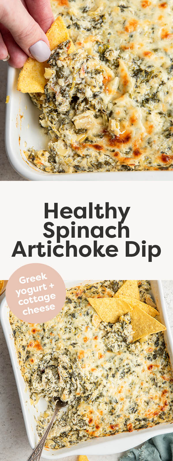 Healthy Spinach Artichoke Dip Eating Bird Food