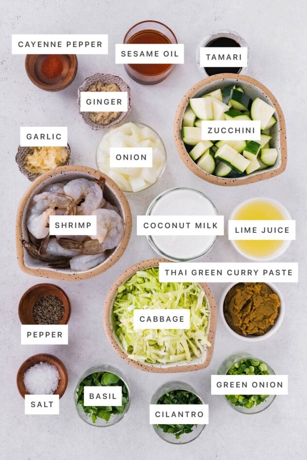 Ingredients measured out to make Green Curry with Shrimp: cayenne pepper, sesame oil, tamari, ginger, garlic, onion, zucchini, shrimp, coconut milk, lime juice, Thai green curry paste, cabbage, pepper, salt, basil, cilantro and green onion.