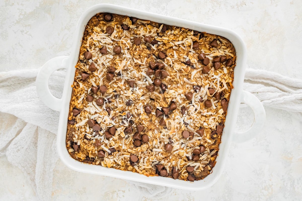 Lactation Baked Oatmeal Eating Bird Food