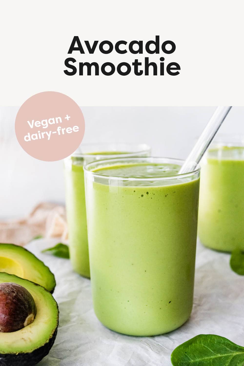 avocado-smoothie-eating-bird-food