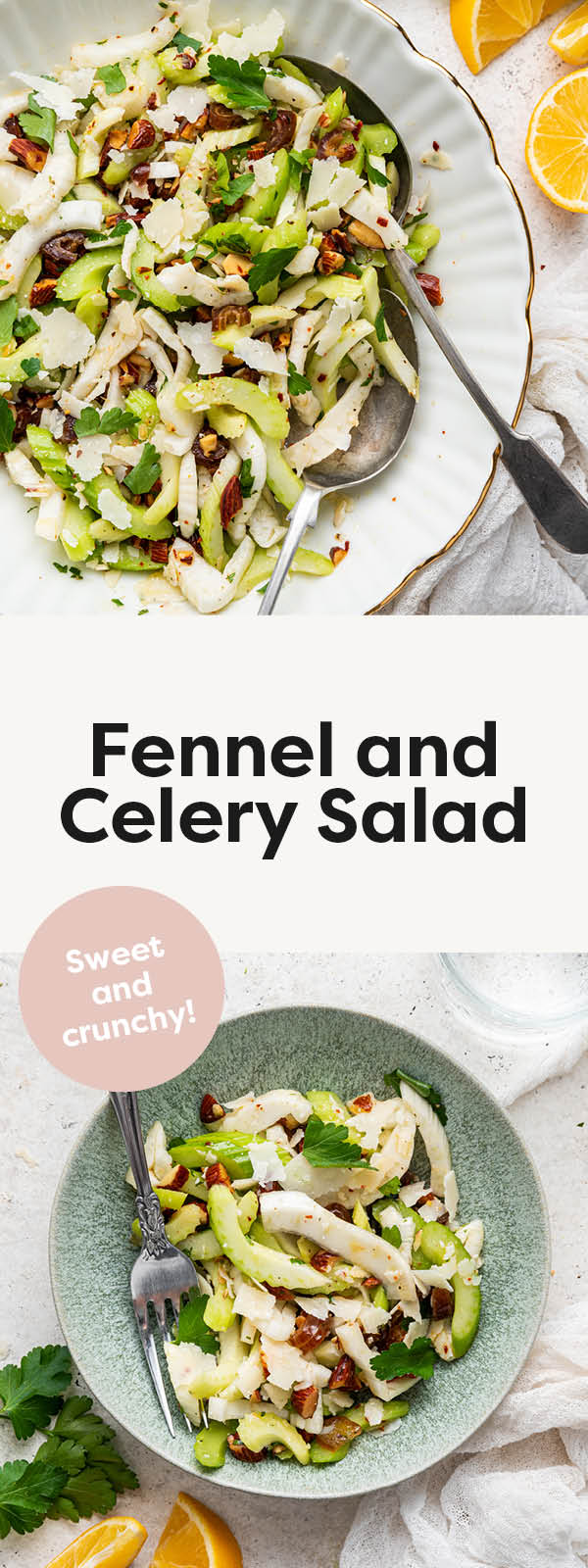 Fennel and Celery Salad Eating Bird Food