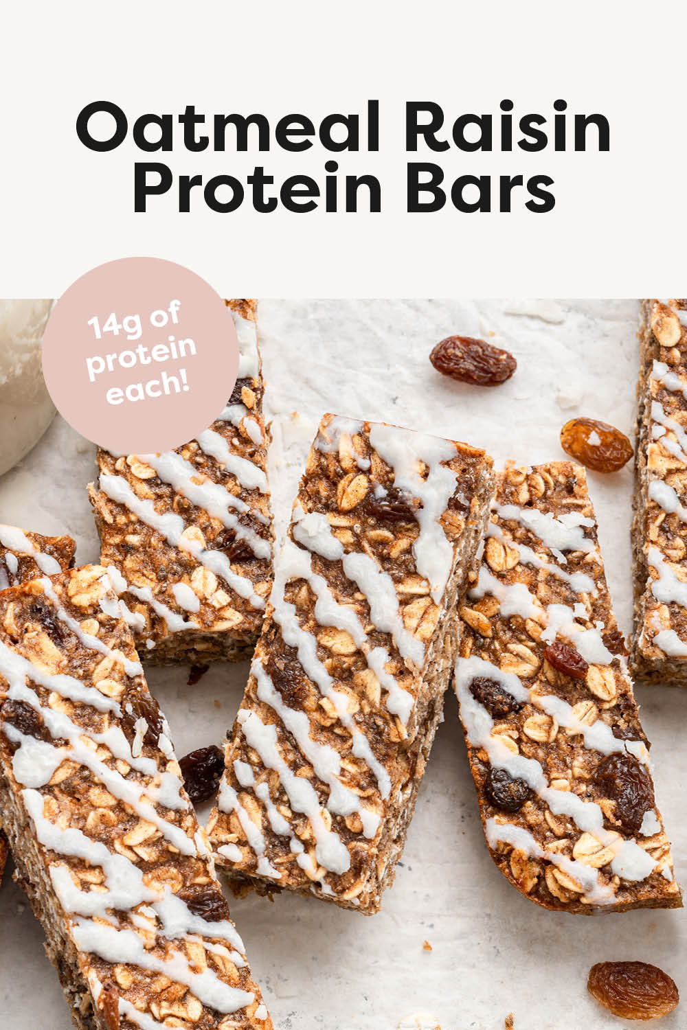 Oatmeal Raisin Protein Bars Eating Bird Food