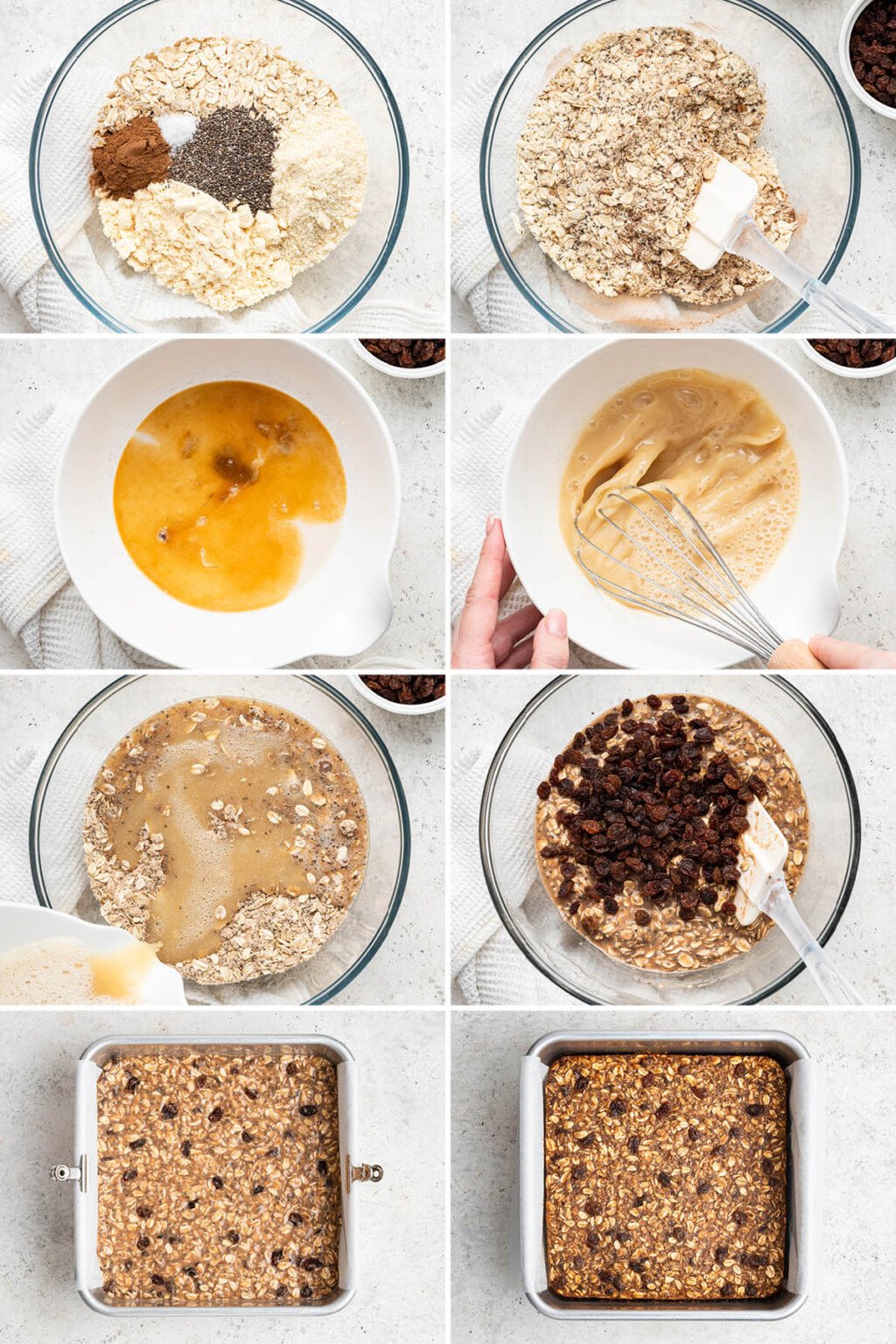 Oatmeal Raisin Protein Bars Eating Bird Food