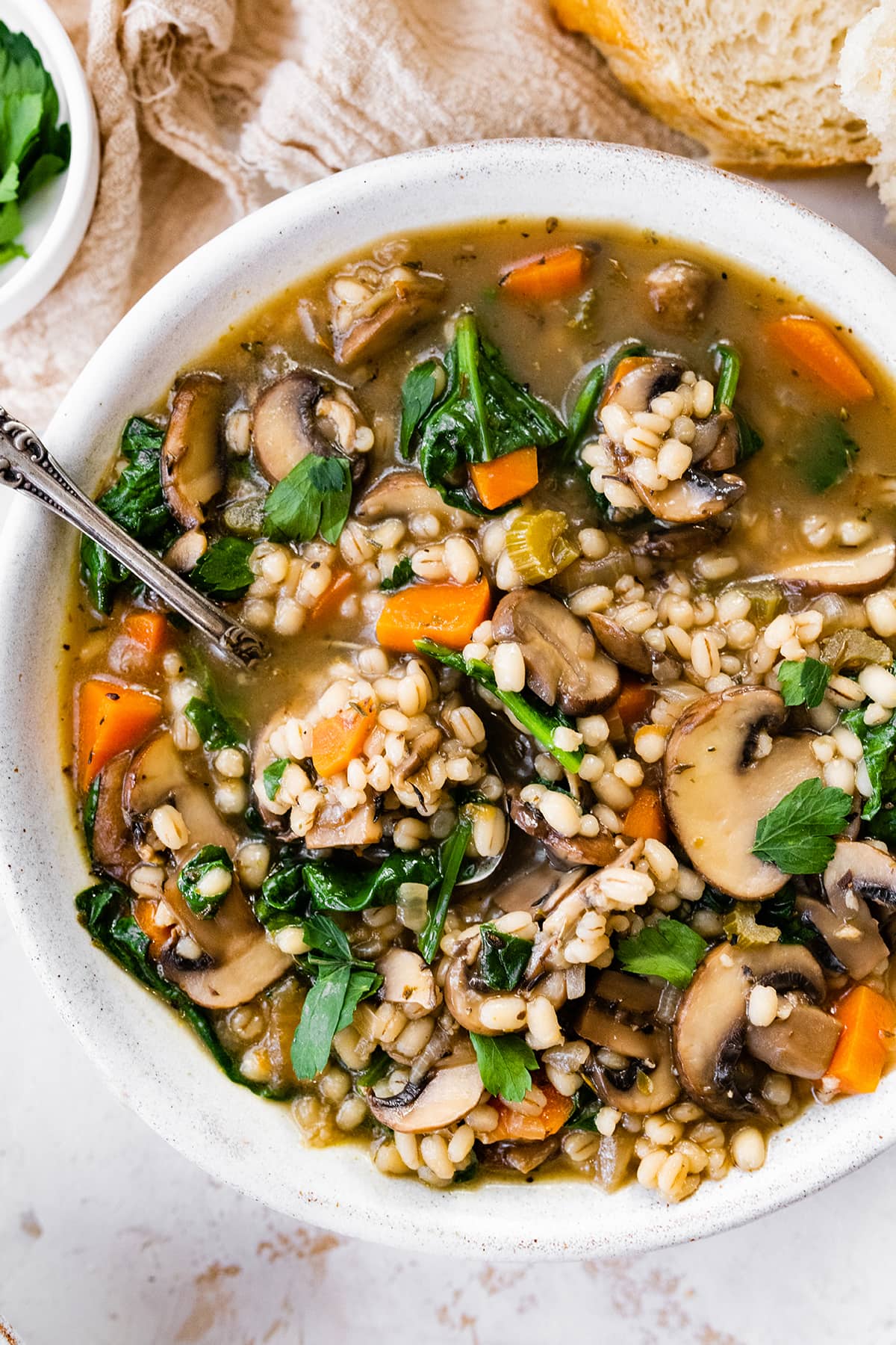 A bowl of mushroom barley soup.