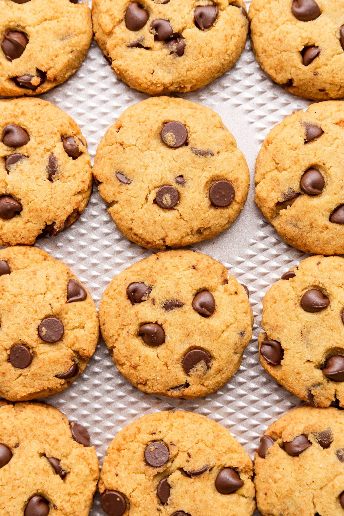 Coconut flour cookies close together on a baking tray after being baked.