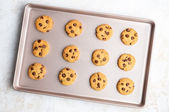 Twelve coconut flour chocolate chip cookies on a baking tray after being baked.