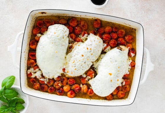 Three baked chicken breasts topped with melted mozzarella on a bed of cherry tomatoes in a large baking dish.