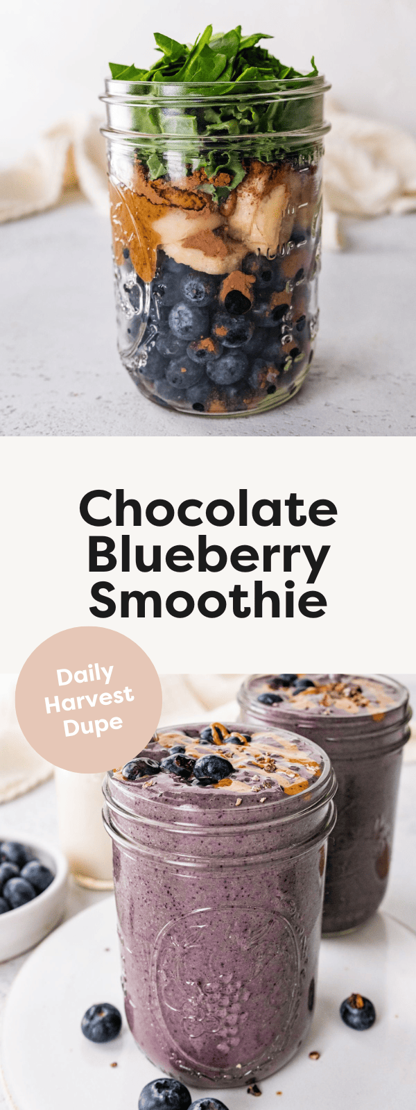 Chocolate Blueberry Smoothie Eating Bird Food The Daily Inserts