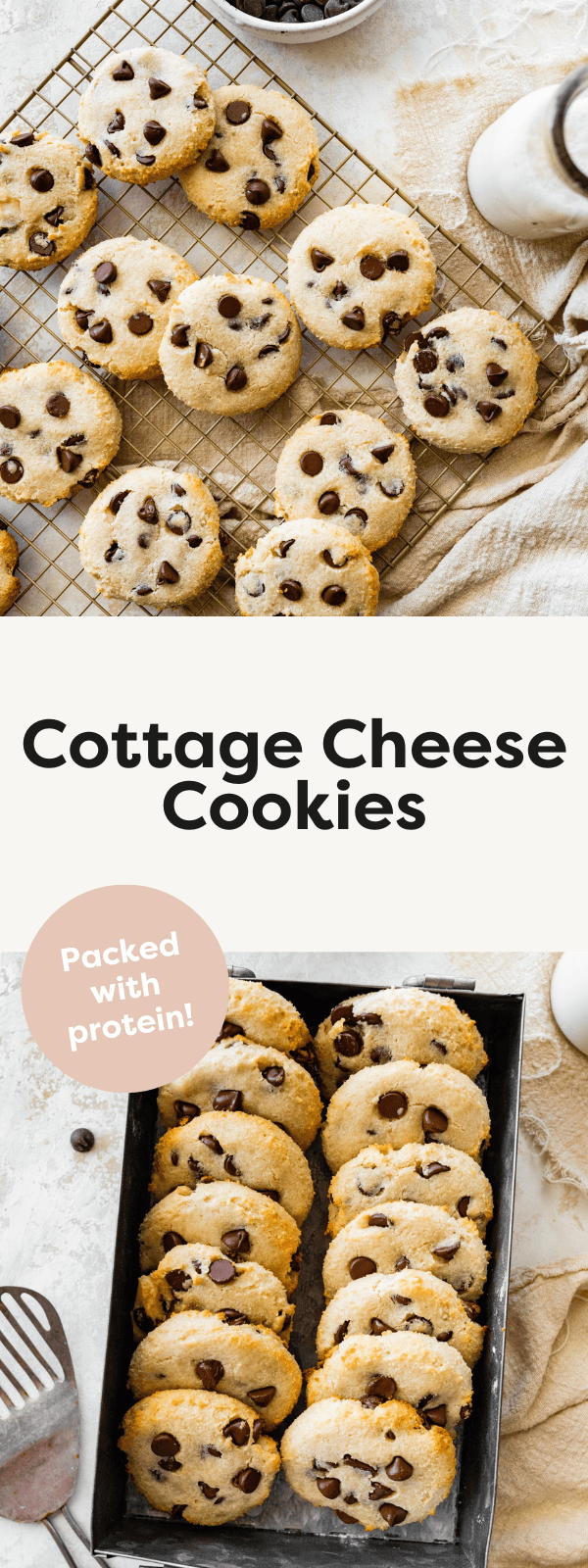 Cottage Cheese Cookies (High Protein) Eating Bird Food