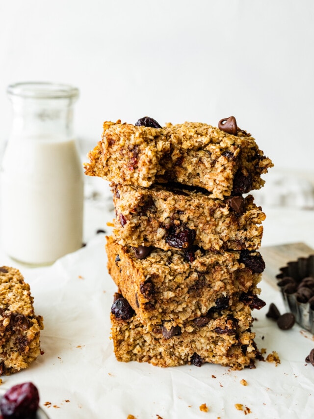 Oatmeal Breakfast Bars Eating Bird Food