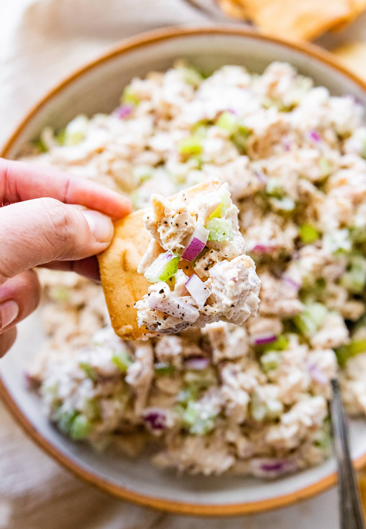 A woman's hand holding a cracker with a bite size portion of rotisserie chicken salad.