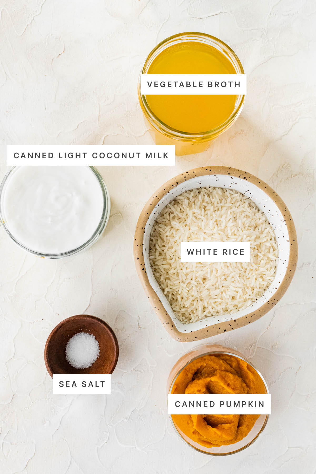 Ingredients measured out to make Pumpkin Rice: vegetable broth, coconut milk, white rice, sea salt and canned pumpkin.