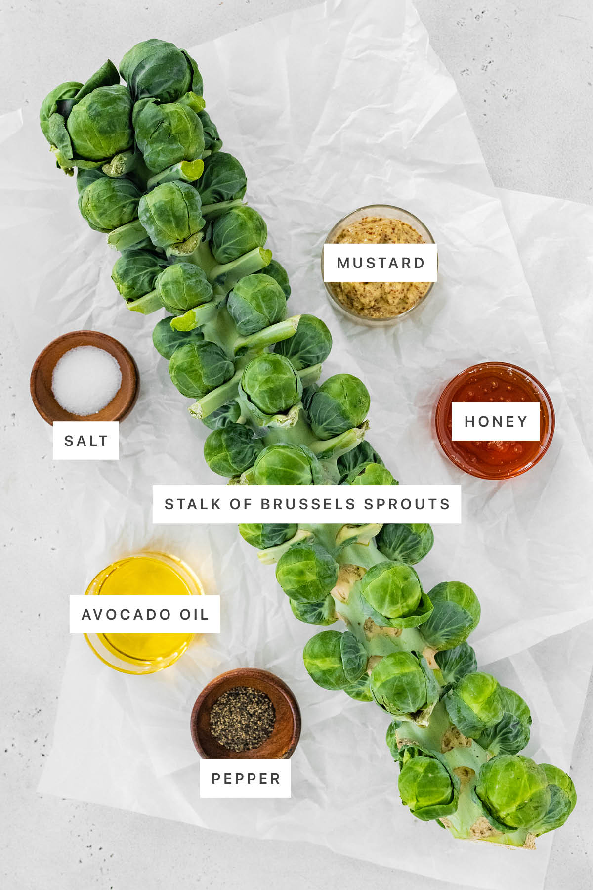 Ingredients measured out to make Brussels Sprouts on the Stalk: mustard, salt, stalk of brussels sprouts, honey, avocado oil and pepper.