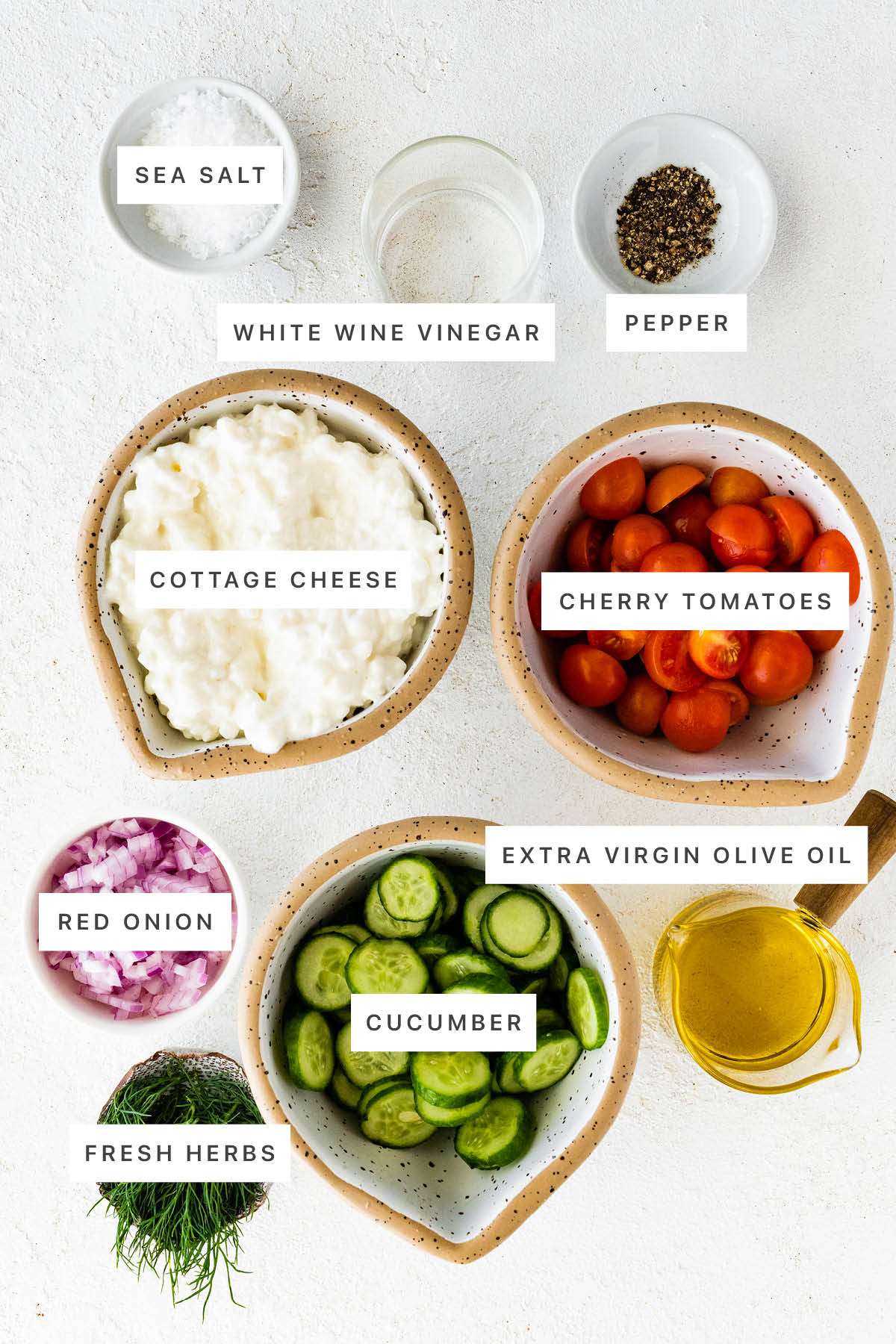 Ingredients measured out to make Cottage Cheese Salad: salt, white wine vinegar, pepper, cottage cheese, cherry tomatoes, red onion, cucumber, extra virgin olive oil and fresh herbs.