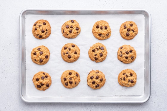 Twelve almond flour chocolate chip cookies on a baking tray after being baked in the oven.